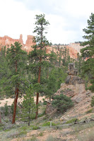 BryceCanyonNP_20100818_0099.JPG Photo