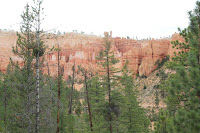 BryceCanyonNP_20100818_0102.JPG Photo