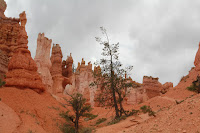 BryceCanyonNP_20100818_0086.JPG Photo
