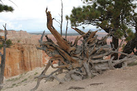 BryceCanyonNP_20100818_0231.JPG Photo