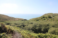PointReyesNS_20100829_0030.JPG