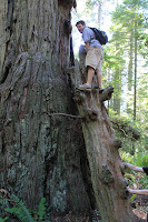 RedwoodEmpire_20100905_0333.JPG Photo