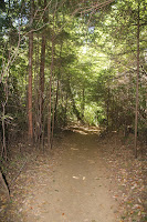RedwoodEmpire_20100906_0483.JPG Photo