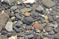 RedwoodEmpire_20100906_0514.JPG