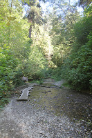RedwoodEmpire_20100906_0621.JPG