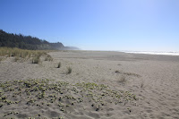 RedwoodEmpire_20100906_0640.JPG