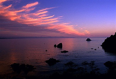 [pink_clouds_lg[17].jpg]