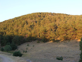DSCF3719.jpg