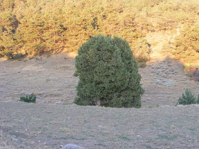 DSCF3718.jpg