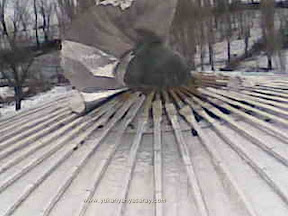 Image00045.jpeg