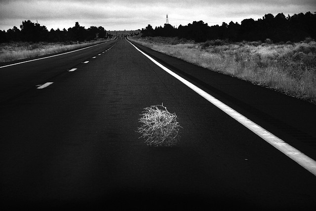 [Tumbleweed-VancityAllie2.jpg]