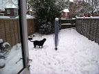 DSCF7702.JPG