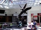 DSCF8115.JPG