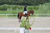 Emilie og Choko klar til programridning