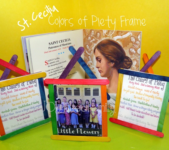 [colors of piety of frame joy[4].jpg]