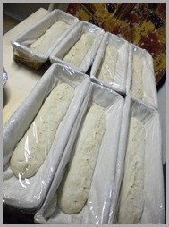 pane rustico da lievitare