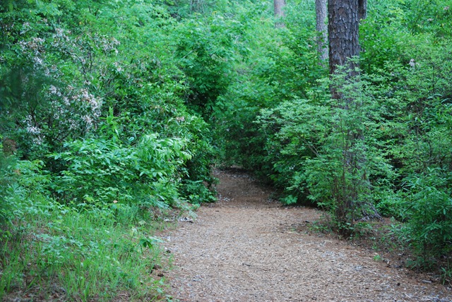 [Meadowlark Gardens Trail[2].jpg]