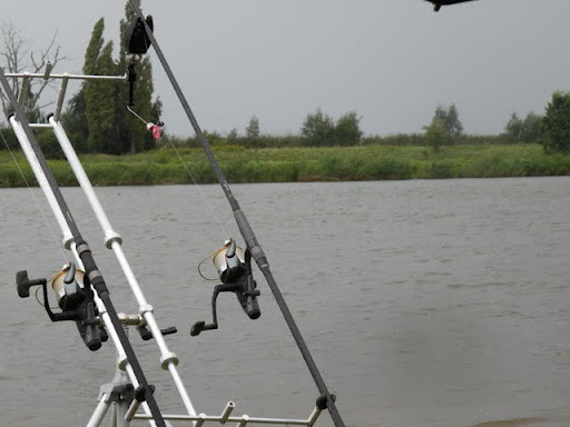 DSCN1931.JPG
