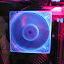 P6200008.JPG