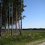 IMG_1906.JPG