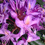 Image0021.jpg