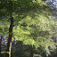 Image0041.jpg