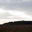 IMG_2372.jpg