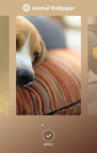 How to mod AnimalWallpaper patch 1.2.0 apk for pc