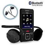 Sony Walkman Video MP3 Player NWZ-A826K (4GB)