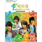 Fahrenheit Special 飞轮海Special (DVD)