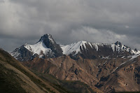 IMG_1083.jpg
