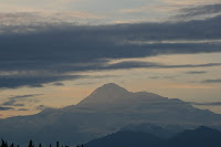 IMG_1412.jpg