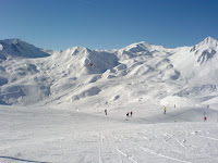 DSC01234.JPG Photo