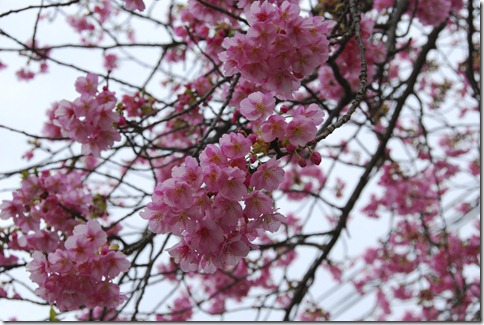 DSC_0029 DSC_0029