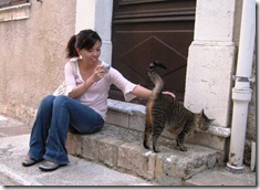 IMG_3529 IMG_3529