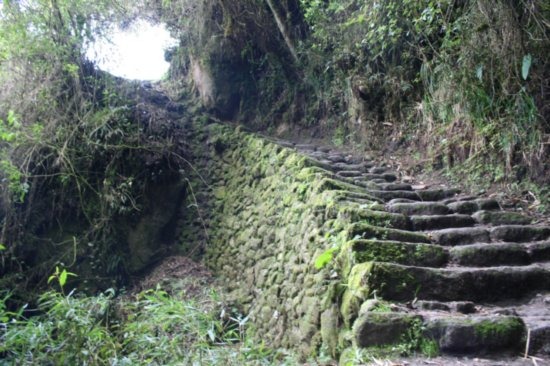 [young_rtw.1194207780.the-never-ending-staircase[60].jpg]
