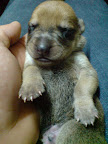 DSC00197.JPG