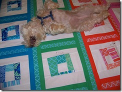 maggie on quilt 2