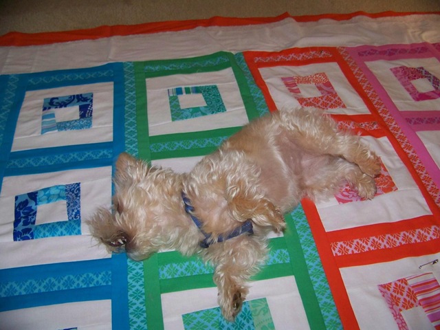[maggie on quilt 4[2].jpg]