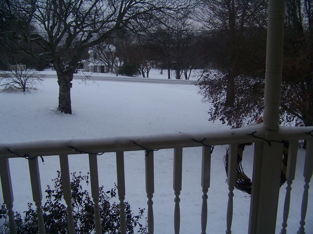 [snow 2 december[5].jpg]