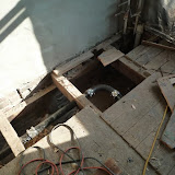 laying roof, weather plants, roof wall