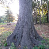Prospect Park