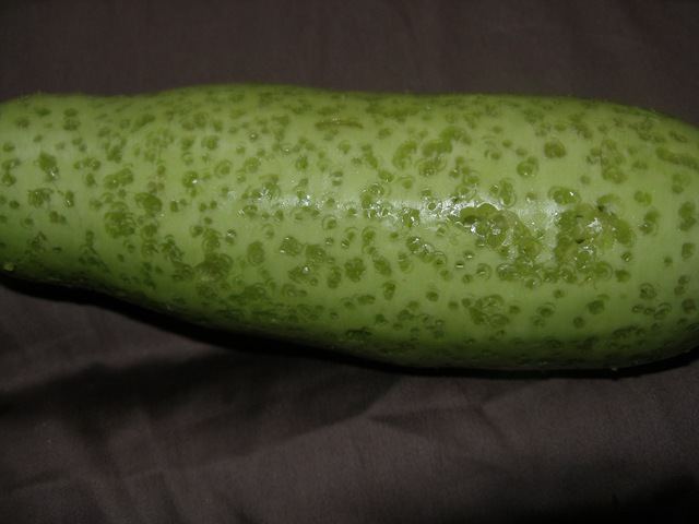 [P1060159[11].jpg]