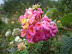 DSC03384.JPG