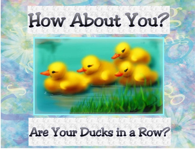 [ducks row1[3].jpg]