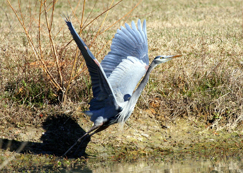 IMAGE: http://lh5.ggpht.com/_uEZxaNzoxK4/SfG_B-2UxoI/AAAAAAAAFv0/ggWsMc3PGpo/s800/IMG_6520.JPG