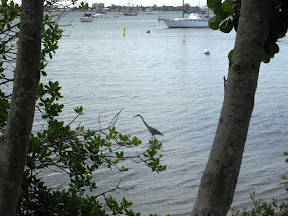 IMG_0681.JPG