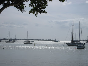 IMG_0736.JPG