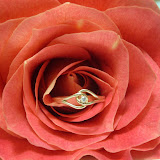 S7300621.JPG