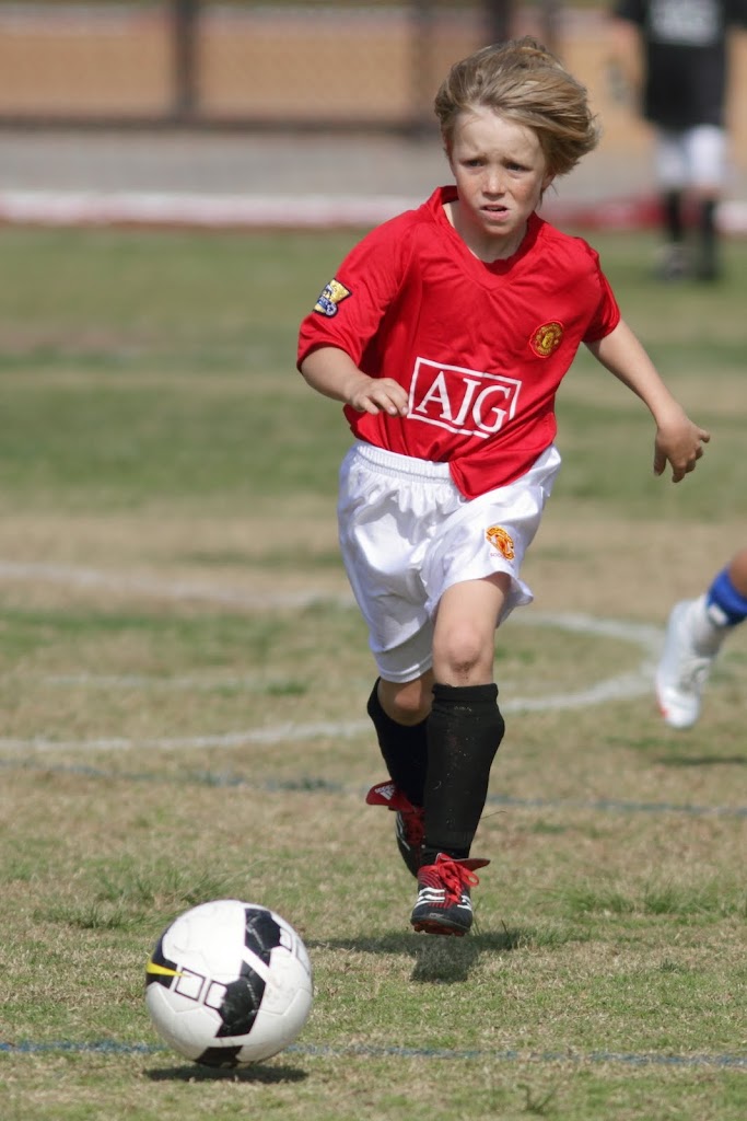 IMAGE: http://lh5.ggpht.com/_uFrS5yCiGps/SwYnWI9W21I/AAAAAAAAM-8/prt5wMqPYZY/s1024/IMG_2446.JPG